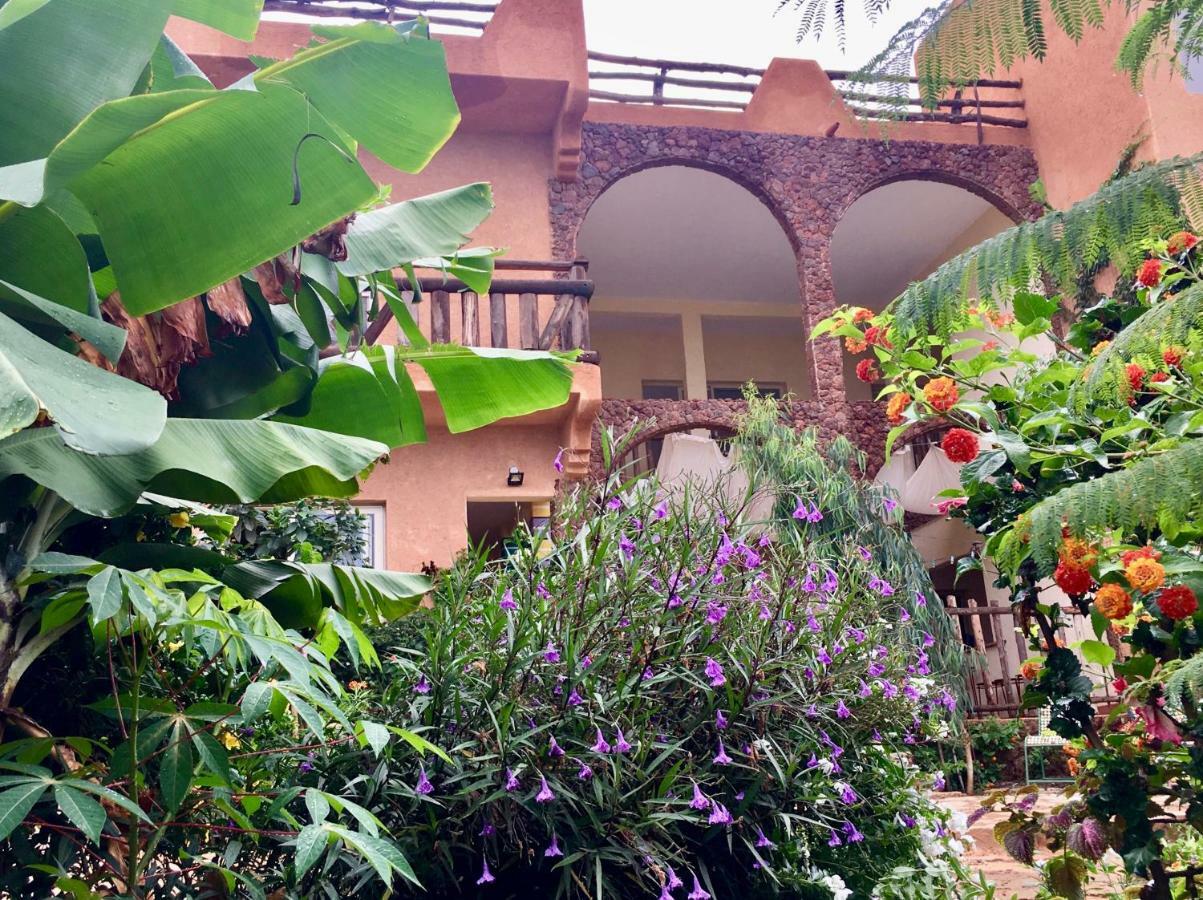 トゥバブ・ディアラオ Ker Lep Jamm - Chez Moussa Et Cinzia Bed & Breakfast エクステリア 写真